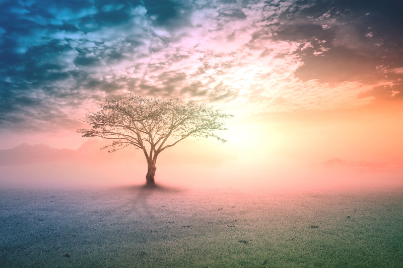5 pillars of health for cancer patients